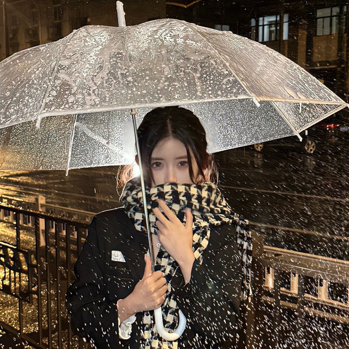 高卢勇士之美洲历险